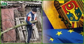 În drum spre Europa sau către eșec?